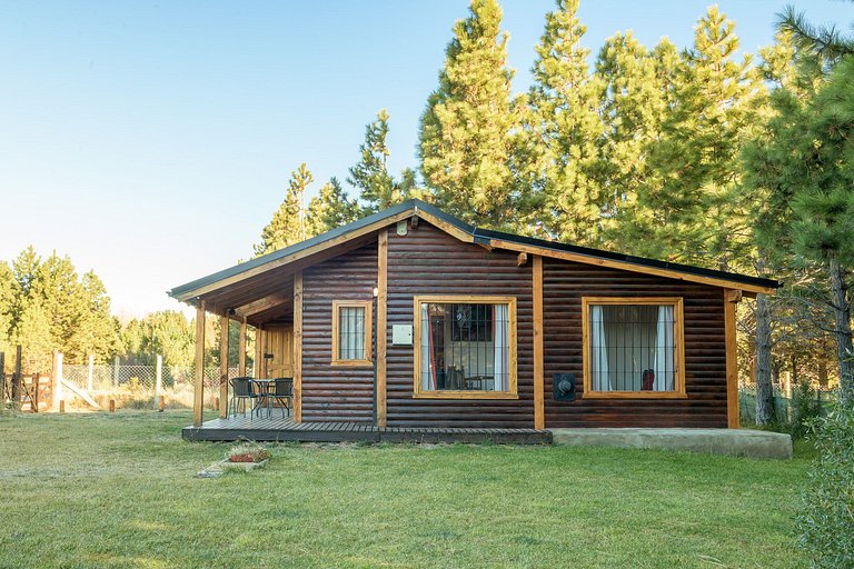 Family cabin with patio and grill - near the lake - wifi
