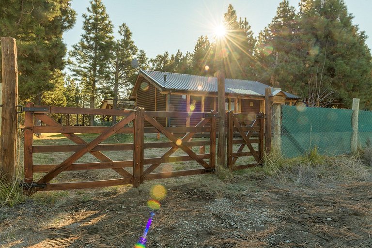 Family cabin with patio and grill - near the lake - wifi