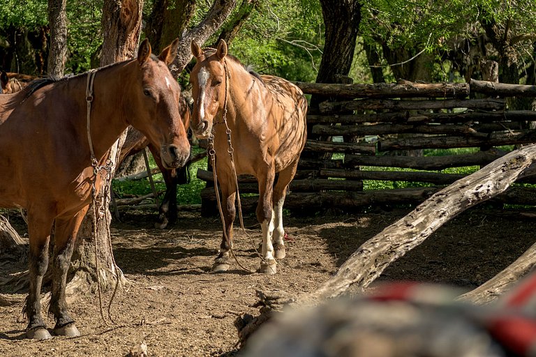 Casa de Campo -experiencia rural a 35 km del centro