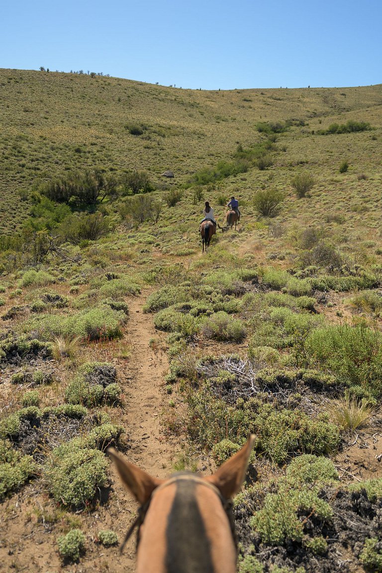Casa de Campo -experiencia rural a 35 km del centro
