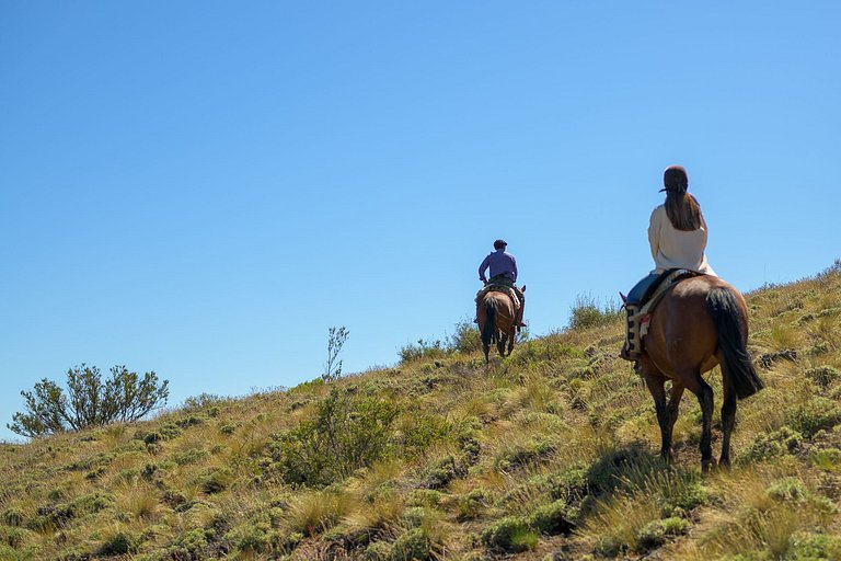Casa de Campo -experiencia rural a 35 km del centro