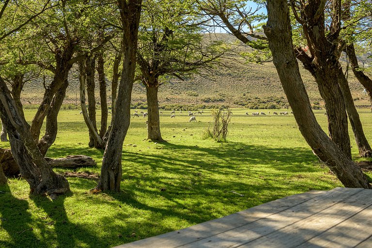 Casa de Campo -experiencia rural a 35 km del centro